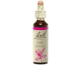 Oak - Chêne