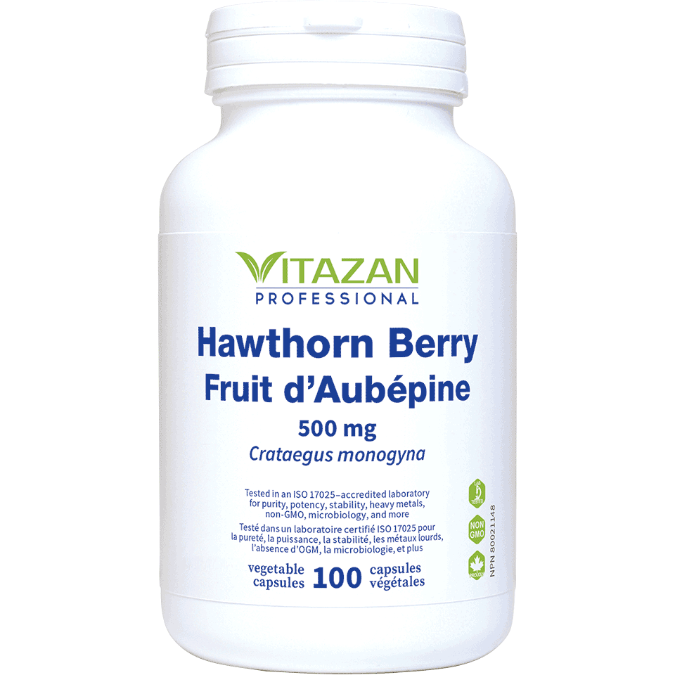 Hawthorn Berry