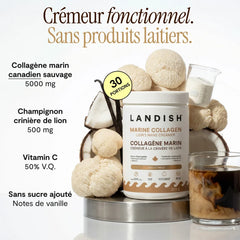 Crémeur à café à la crinière de lion