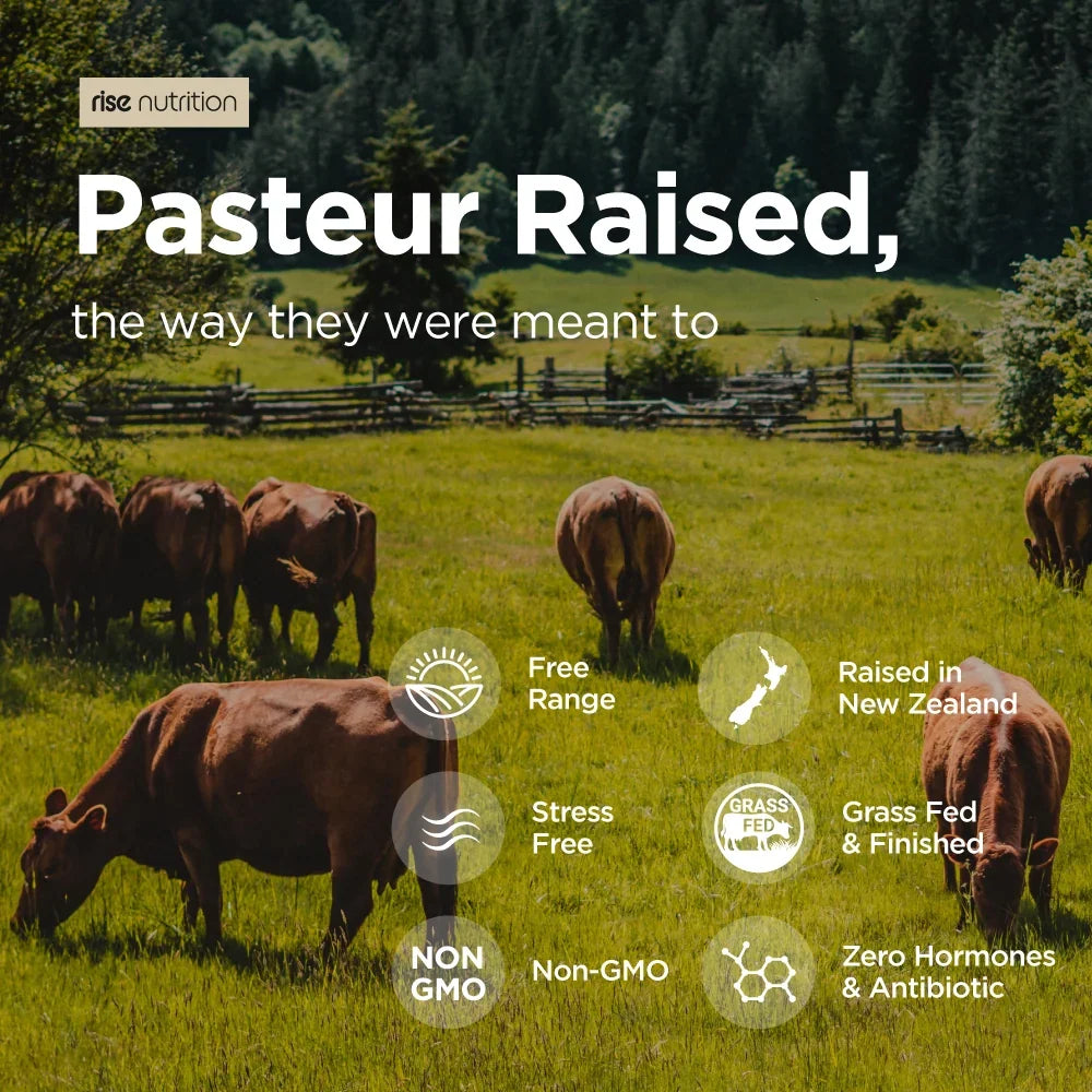 Grass-fed Beef Organs