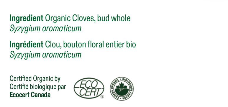 Clou girofle - bouton floral entier