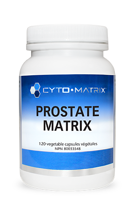 Prostate Matrix