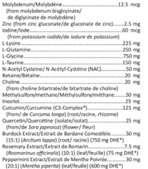 SynerClear (Support Detox) (Biologique)** (Original)